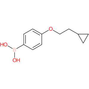 [4-(2-cyclopropylethoxy)phenyl]boronic acid
