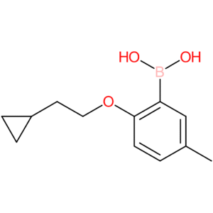 [2-(2-cyclopropylethoxy)-5-methylphenyl]boronic acid