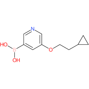 [5-(2-cyclopropylethoxy)pyridin-3-yl]boronic acid