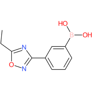 3-(5-ethyl-1,2,4-oxadiazol-3-yl)phenylboronic acid