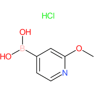 2-methoxypyridine-4-boronic acid hydrochloride