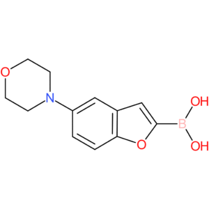 b-[5-(4-morpholinyl)-2-benzofuranyl]-boronic acid