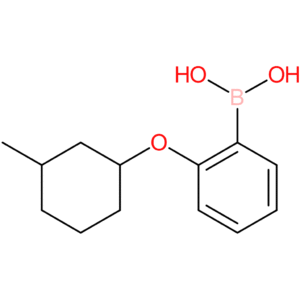 (2-[(3-methylcyclohexyl)oxy]phenyl)boronic acid