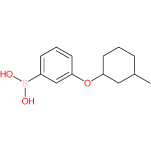 (3-[(3-methylcyclohexyl)oxy]phenyl)boronic acid