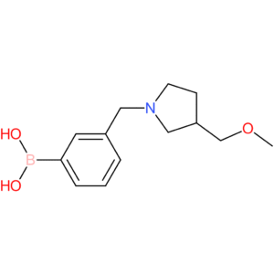(3-([3-(methoxymethyl)pyrrolidin-1-yl]methyl)phenyl)boronic acid