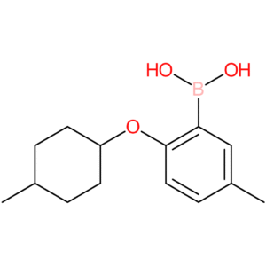 (5-methyl-2-[(4-methylcyclohexyl)oxy]phenyl)boronic acid