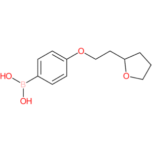 (4-[2-(oxolan-2-yl)ethoxy]phenyl)boronic acid