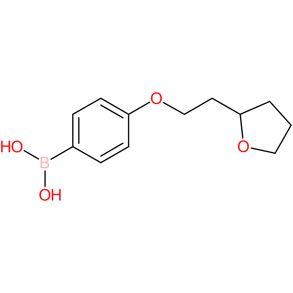 (4-[2-(oxolan-2-yl)ethoxy]phenyl)boronic acid