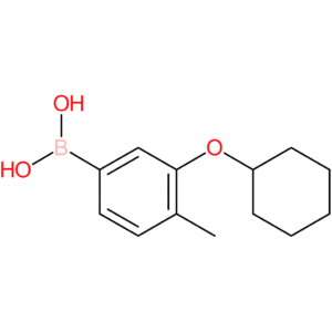 3-(cyclohexyloxy)-4-methylphenylboronic acid