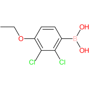 2,3-dichloro-4-ethoxyphenylboronic acid