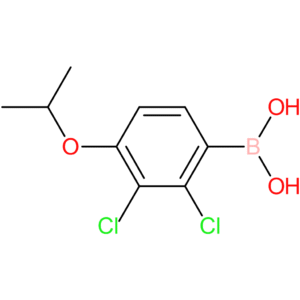 2,3-dichloro-4-isopropoxyphenylboronic acid