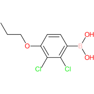 2,3-dichloro-4-propoxyphenylboronic acid