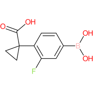1-(4-borono-2-fluorophenyl)cyclopropane-1-carboxylic acid