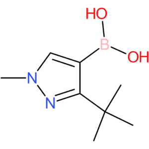 (3-tert-butyl-1-methyl-1h-pyrazol-4-yl)boronic acid