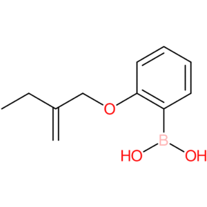 [2-(2-methylidenebutoxy)phenyl]boronic acid