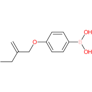 [4-(2-methylidenebutoxy)phenyl]boronic acid