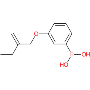 [3-(2-methylidenebutoxy)phenyl]boronic acid