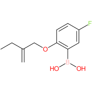 [5-fluoro-2-(2-methylidenebutoxy)phenyl]boronic acid