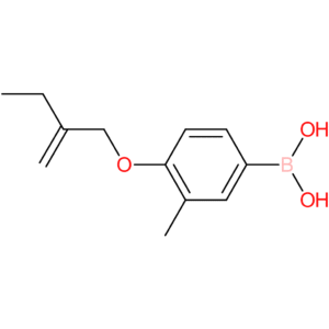 [3-methyl-4-(2-methylidenebutoxy)phenyl]boronic acid