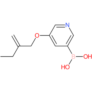 [5-(2-methylidenebutoxy)pyridin-3-yl]boronic acid