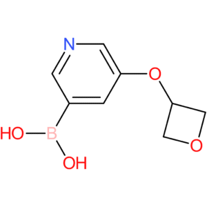 [5-(oxetan-3-yloxy)-3-pyridyl]boronic acid