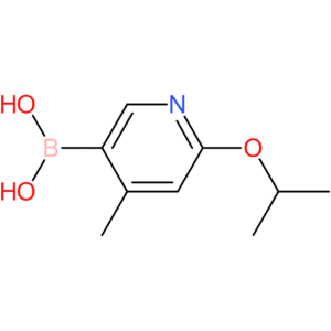 2-isopropoxy-4-methylpyridine-5-boronic acid