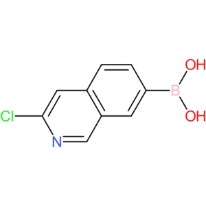 3-chloroisoquinolin-7-boronic acid