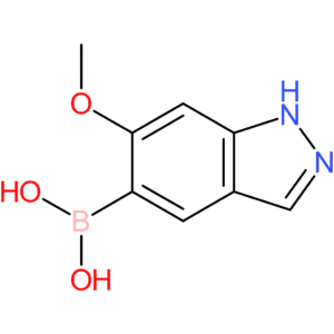 6-methoxy-1h-indazolE-5-boronic acid