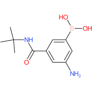 3-amino-5-(t-butylaminocarbonyl)phenylboronic acid