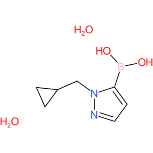 1-(cyclopropylmethyl)-1h-pyrazolE-5-boronic acid, dihydrate