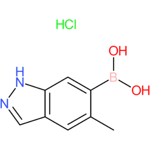 5-methyl-1h-indazolE-6-boronic acid, hydrochloride salt