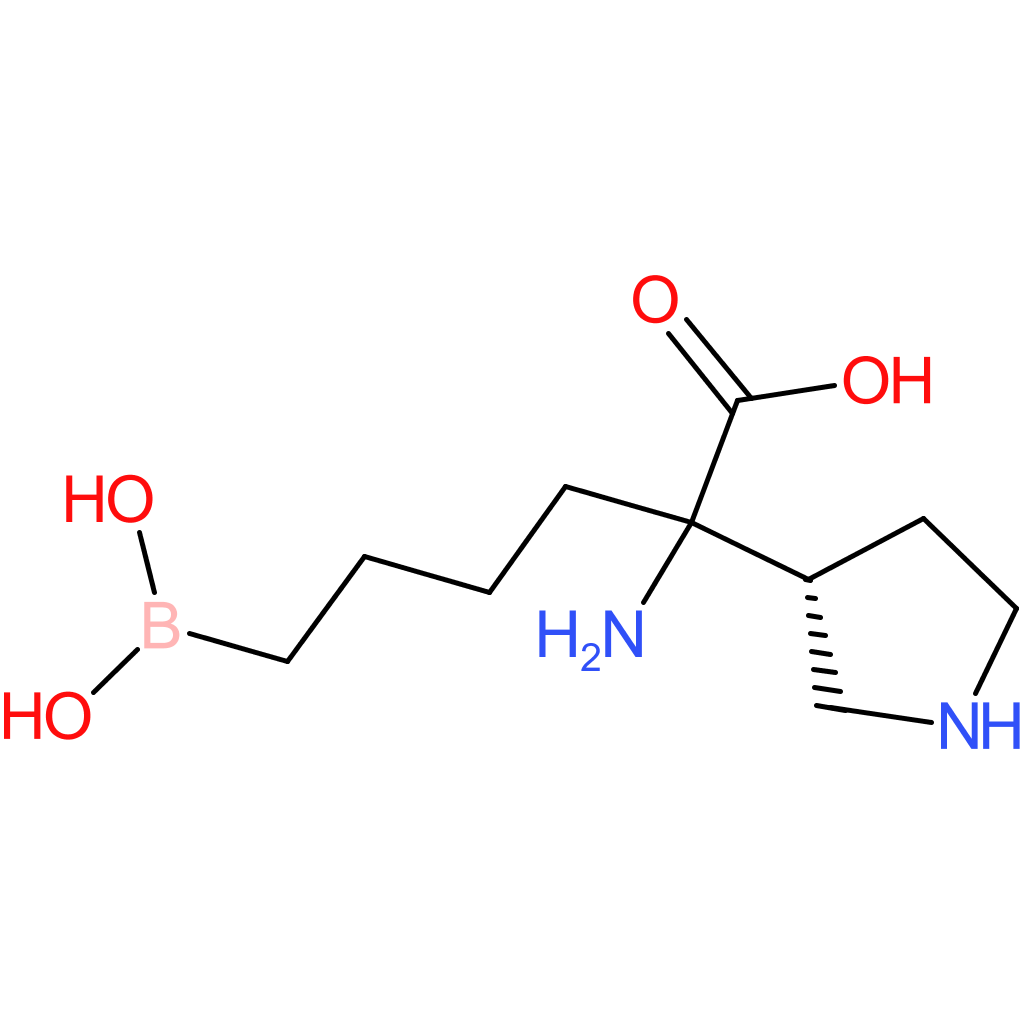 2-amino-6-borono-2-((r)-pyrrolidin-3-yl)hexanoic acid