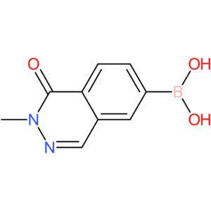 (2-methyl-1-oxo-1,2-dihydro-6-phthalazinyl)boronic acid