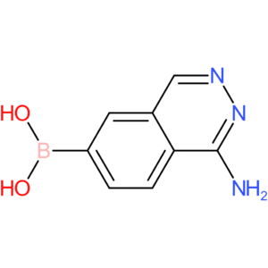 (1-amino-6-phthalazinyl)boronic acid