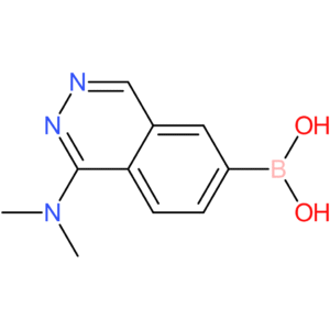 [1-(dimethylamino)-6-phthalazinyl]boronic acid