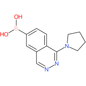 [1-(1-pyrrolidinyl)-6-phthalazinyl]boronic acid