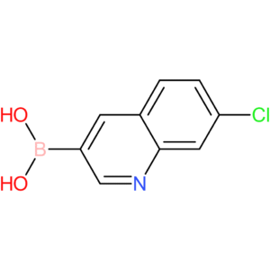 (7-chloro-3-quinolinyl)boronic acid