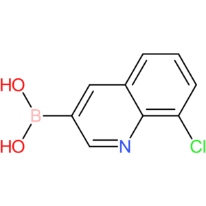 (8-chloro-3-quinolinyl)boronic acid