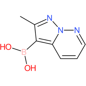 (2-methylpyrazolo[1,5-b]pyridazin-3-yl)boronic acid