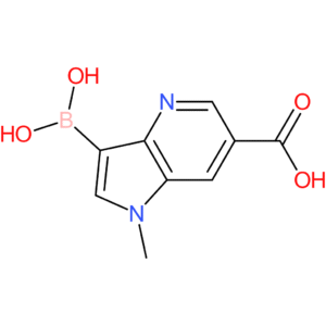 3-(dihydroxyboryl)-1-methyl-1h-pyrrolo[3,2-b]pyridine-6-carboxylic acid