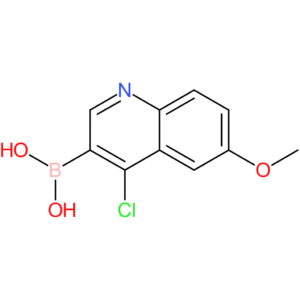 (4-chloro-6-methoxy-3-quinolinyl)boronic acid