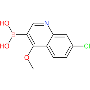 (7-chloro-4-methoxy-3-quinolinyl)boronic acid