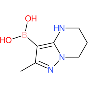 (2-methyl-4,5,6,7-tetrahydropyrazolo[1,5-a]pyrimidin-3-yl)boronic acid