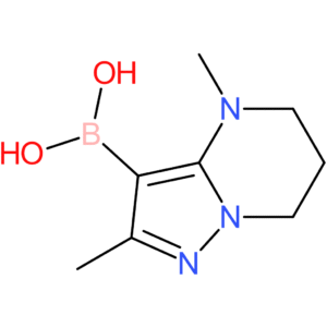 (2,4-dimethyl-4,5,6,7-tetrahydropyrazolo[1,5-a]pyrimidin-3-yl)boronic acid