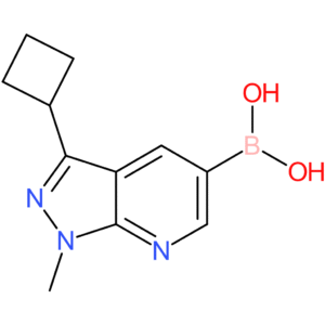 (3-cyclobutyl-1-methyl-1h-pyrazolo[3,4-b]pyridin-5-yl)boronic acid