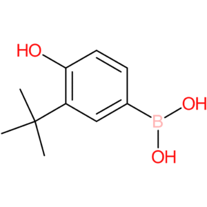 (3-tert-butyl-4-hydroxyphenyl)boronic acid