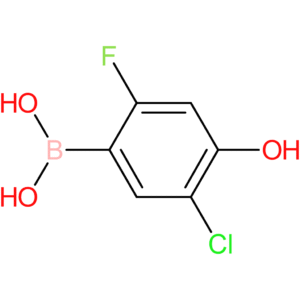 (5-chloro-2-fluoro-4-hydroxyphenyl)boronic acid