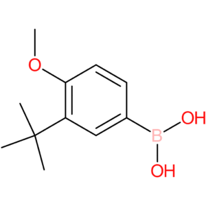 3-tert-butyl-4-methoxyphenylboronic acid
