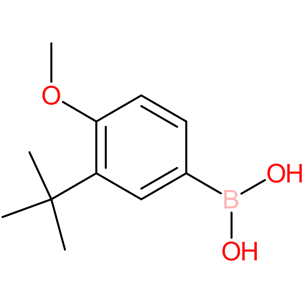3-tert-butyl-4-methoxyphenylboronic acid