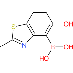 (5-hydroxy-2-methyl-1,3-benzothiazol-4-yl)boronic acid